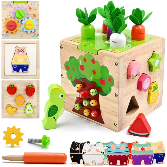 Sensory Toy Wooden Activity Cube