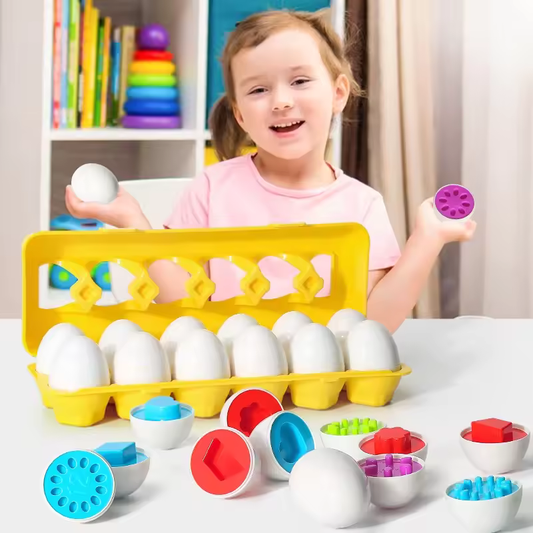 Montessori Shape Matching Egg Toy